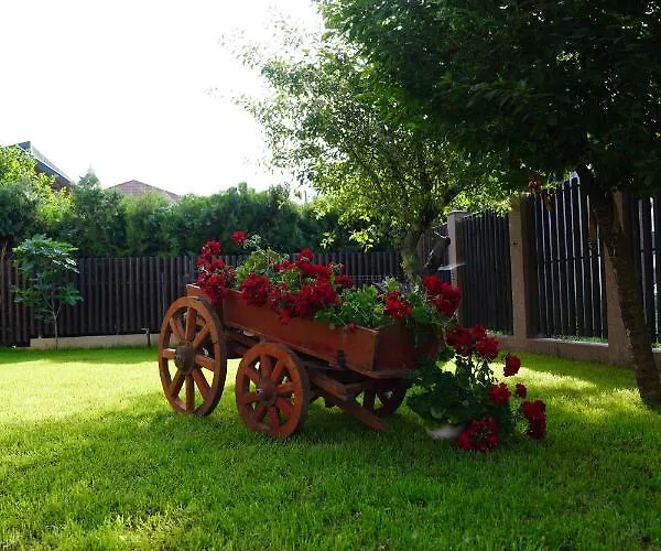 Pensiunea Grand אפורי נורד