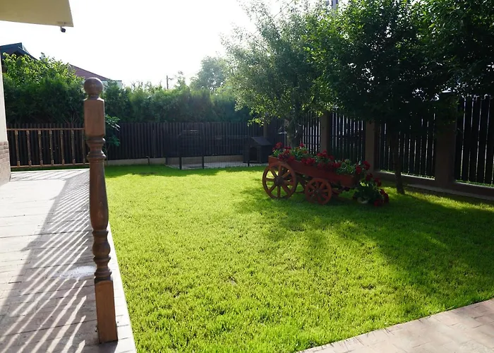 Pensiunea Grand בית הארחה אפורי נורד